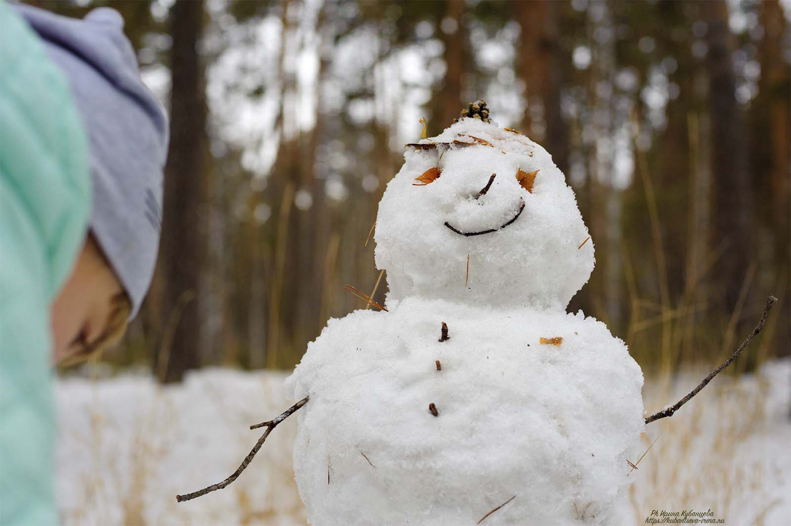 веселый снеговик фото